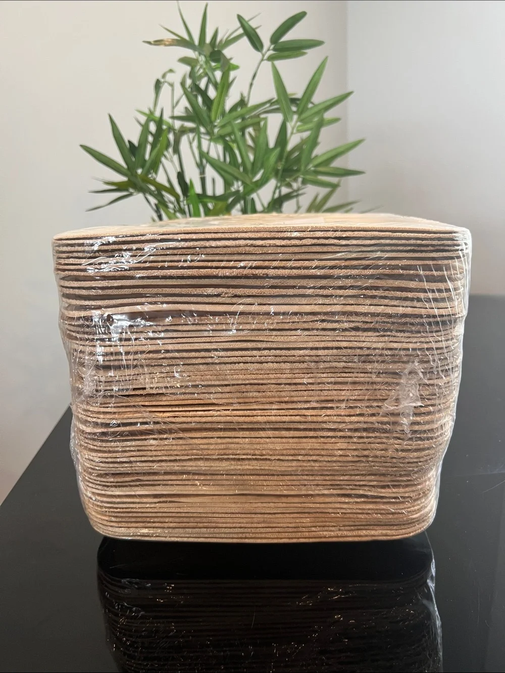 Palm Leaf Plates 50 Count 10x10 Compostable Bridal Shower Party Eco